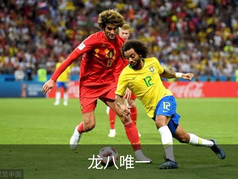 关于龙八唯一